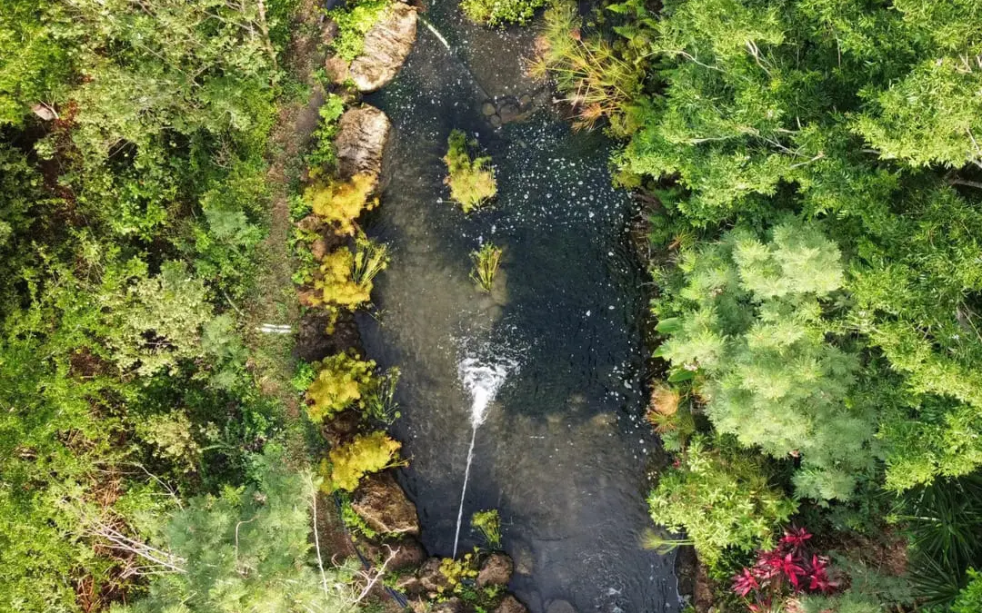 FishBody Pool : notre nouvelle activité bien-être